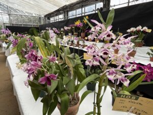 展示会場の様子