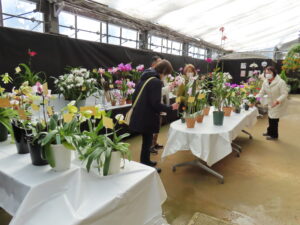 展示会準備の様子