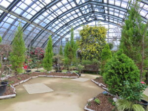 緑のセンター大温室の様子