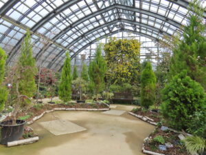 大温室の春の花展会場