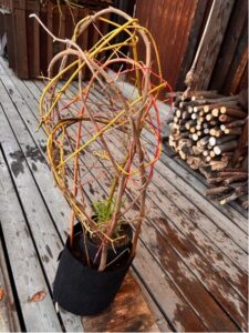 ピースティックイメージ