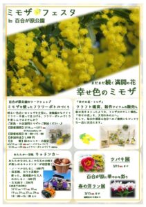ミモザフェスポスター