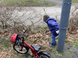 ゴミ回収の活動に参加している家族