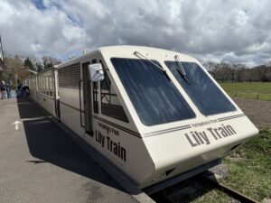 リリートレイン