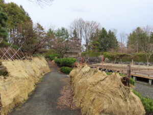日本庭園の様子