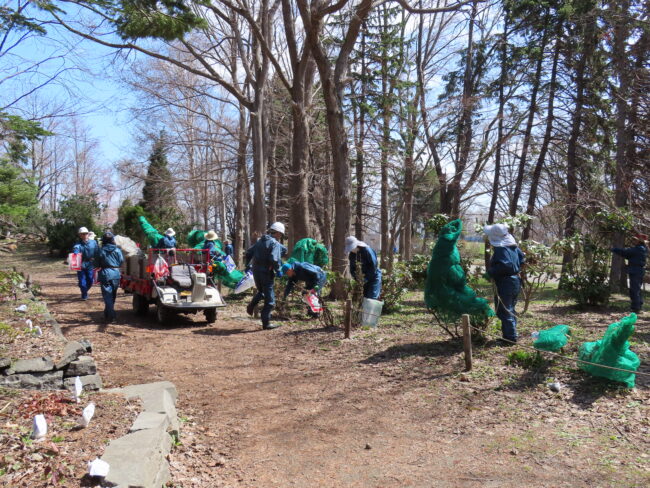 春の準備で大忙し(2026年4月14日)