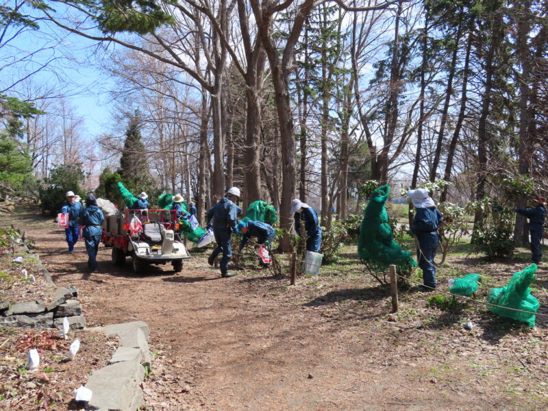 春の準備で大忙し（2026年4月14日）