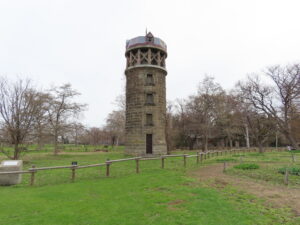 サイロ周辺ではやキタコブシか開花中