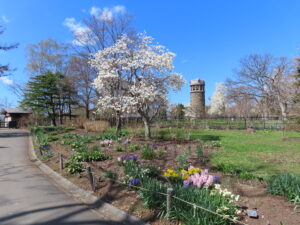 ヒヤシンスやスイセンが咲く世界の庭園