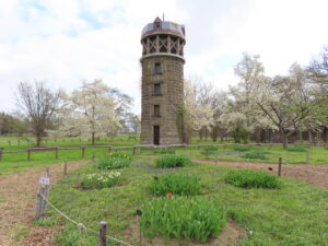 サイロ下に広がる「ムスカリの道」