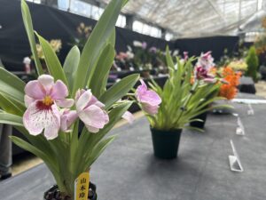 市民ラン展会場の様子