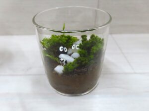 コケテラリウム