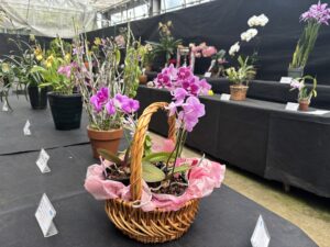 展示会場の様子