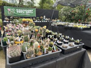 設営中の展示会場