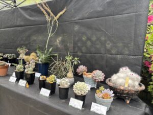 品評会に出展された作品