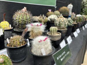 花が咲きそうな作品
