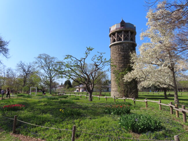本日の百合が原公園（2026年5月1日）