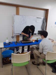 初夏の盆栽展（講習、相談）