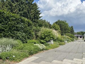 緑のセンター横のボーダー花壇