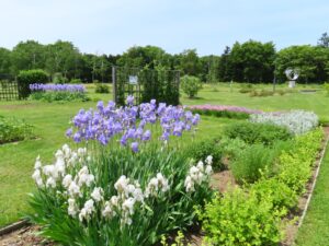 公園東側にあるかおりの庭