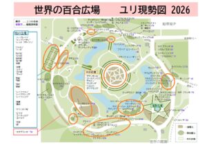 ユリ現製図2026.6.29