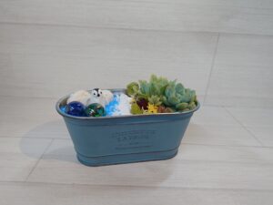 ペンギンを添えた多肉植物の寄せ植え