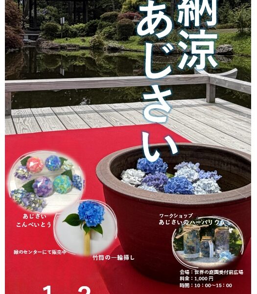 「ユリの女王」カサブランカ開花情報と今年最後の「納涼あじさい」(2026年7月30日)