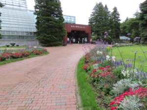 緑のセンター前花壇