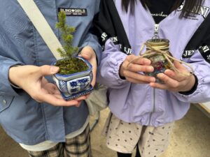 まめ盆栽とハーバリウム