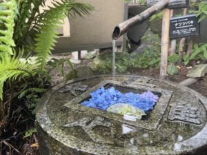 腰掛待合横の手水鉢