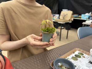 まめ盆栽を作った参加者
