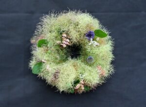 スモークツリーのリース1