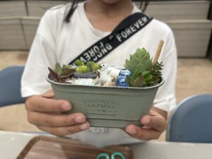 多肉植物の寄せ植えを作った参加者