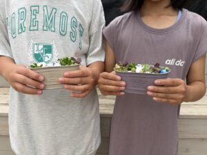 多肉植物の寄せ植えを作った参加者