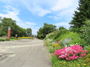 彩り豊かな宿根草が見頃の花木園