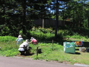 世界の庭園で除草作業を行うミモザさん