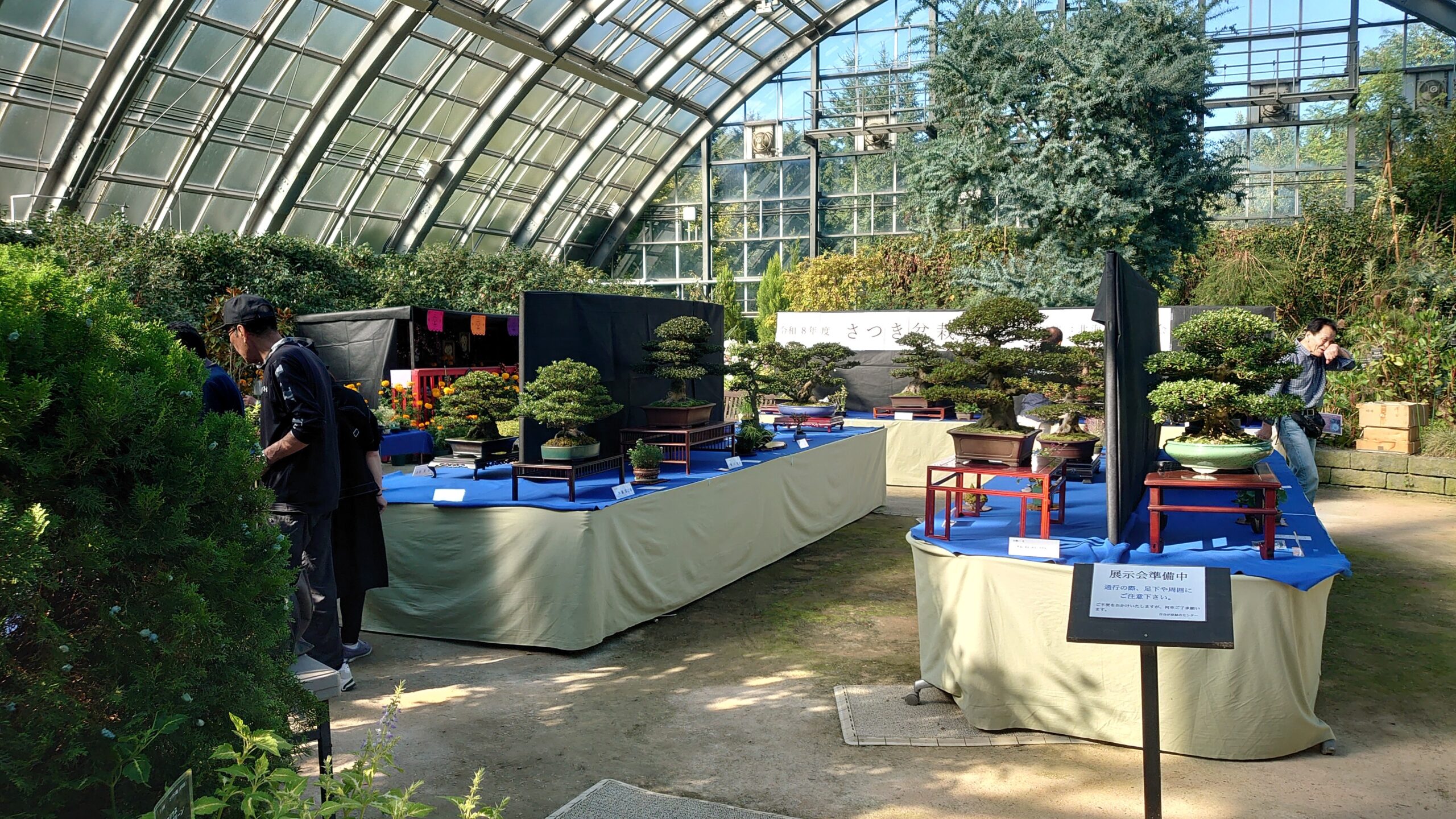 さつき盆栽秋季展、明日から開催（2026年9月19日） | 百合が原公園