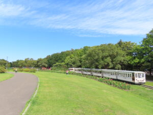 リリートレイン沿線のダリア