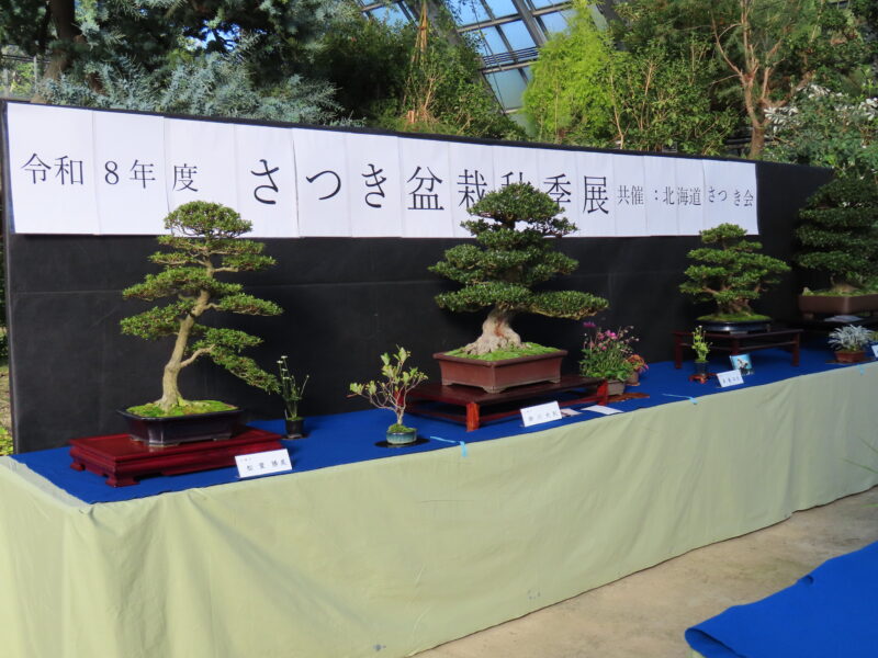 さつき盆栽秋季展、明日から開催(2026年9月19日)