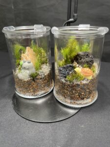トトロや亀のフィギュアを使った2つのコケテラリウム作品
