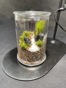 石やコケをメインに作られた作品