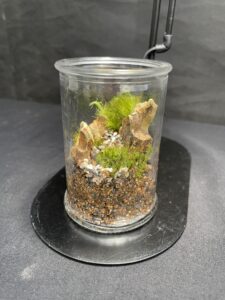 石やコケをメインに作られた作品