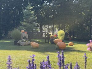 緑のセンター前のハロウインディスプレイ
