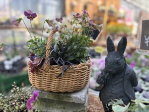 寄せ植え作品