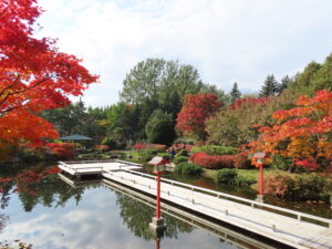 講習会12紅葉樹木ツアー