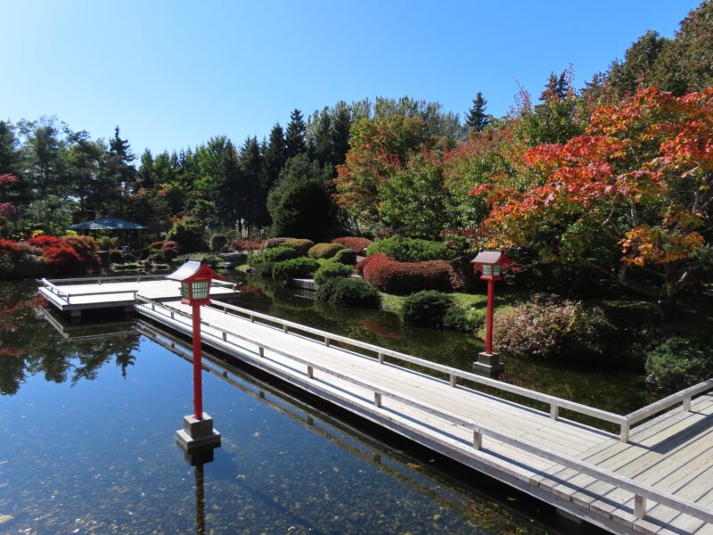 百合が原公園の紅葉とガーデンショップの花苗たち(2026年10月23日)