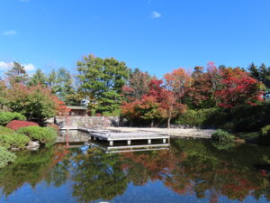 日本庭園の紅葉の様子