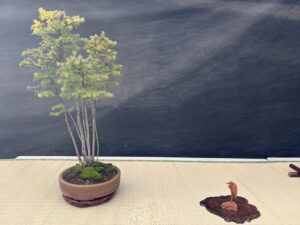 カラマツとサギの添景