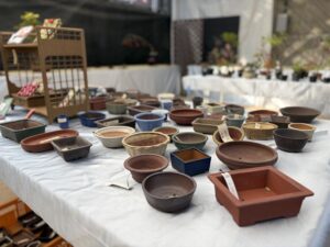 販売用の鉢