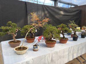 苗木の販売